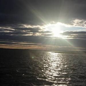 Meet your Posher, Yolanda